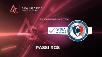 Avangarde Consulting Passi